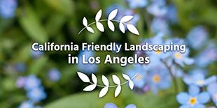 Los Angeles DWP Water Wise Gardening