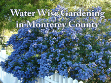 Water Wise Gardening in Monterey County