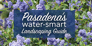 Water Wise Gardening in Pasadena