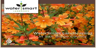 California Friendly Gardening for San Diego