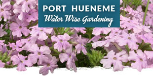 Port Hueneme