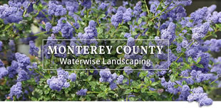 Monterey County