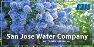 San Jose Water Company