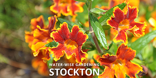 City of Stockton